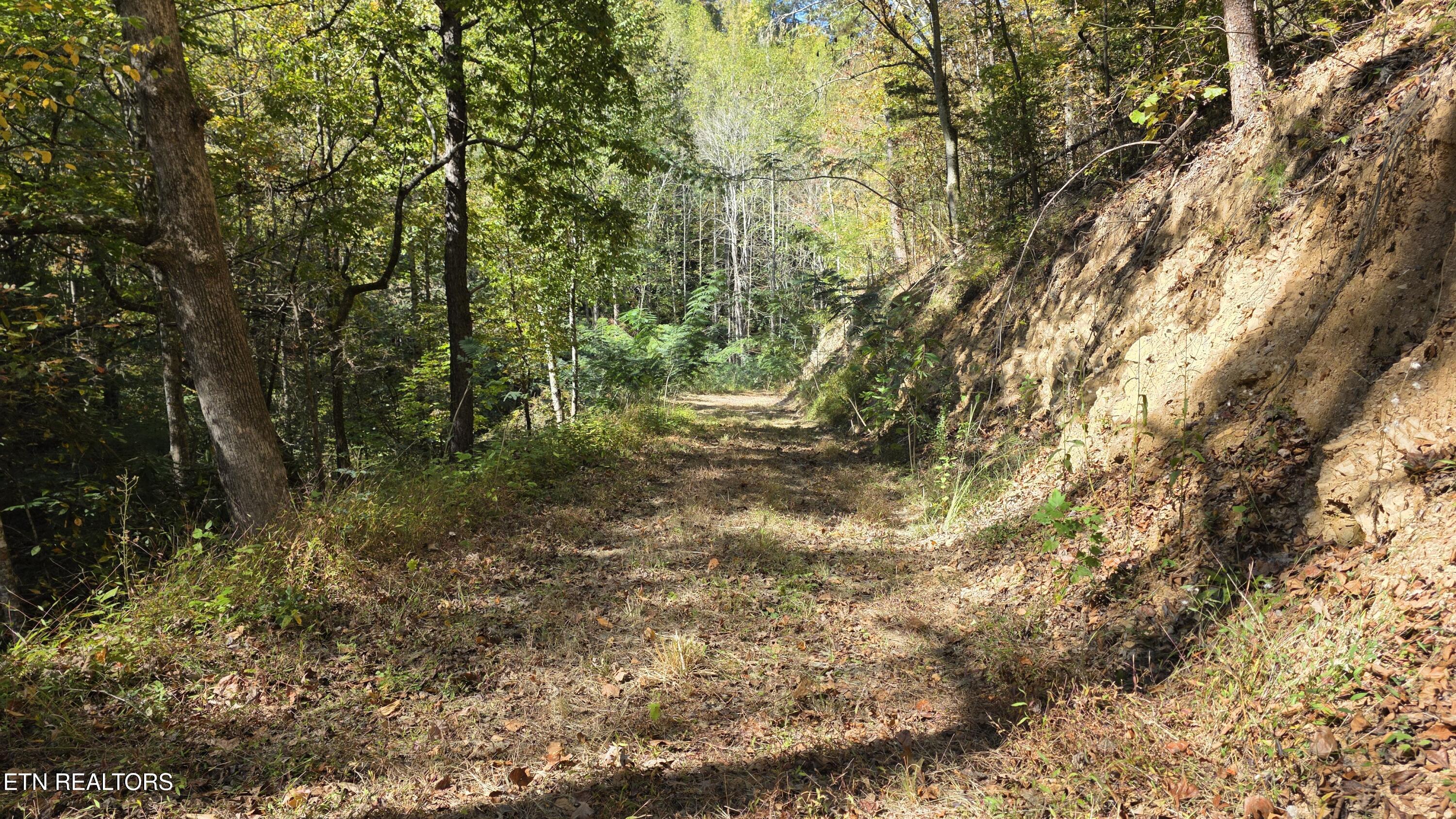 1876 Upper Middle Creek Road Sevierville TN 37876