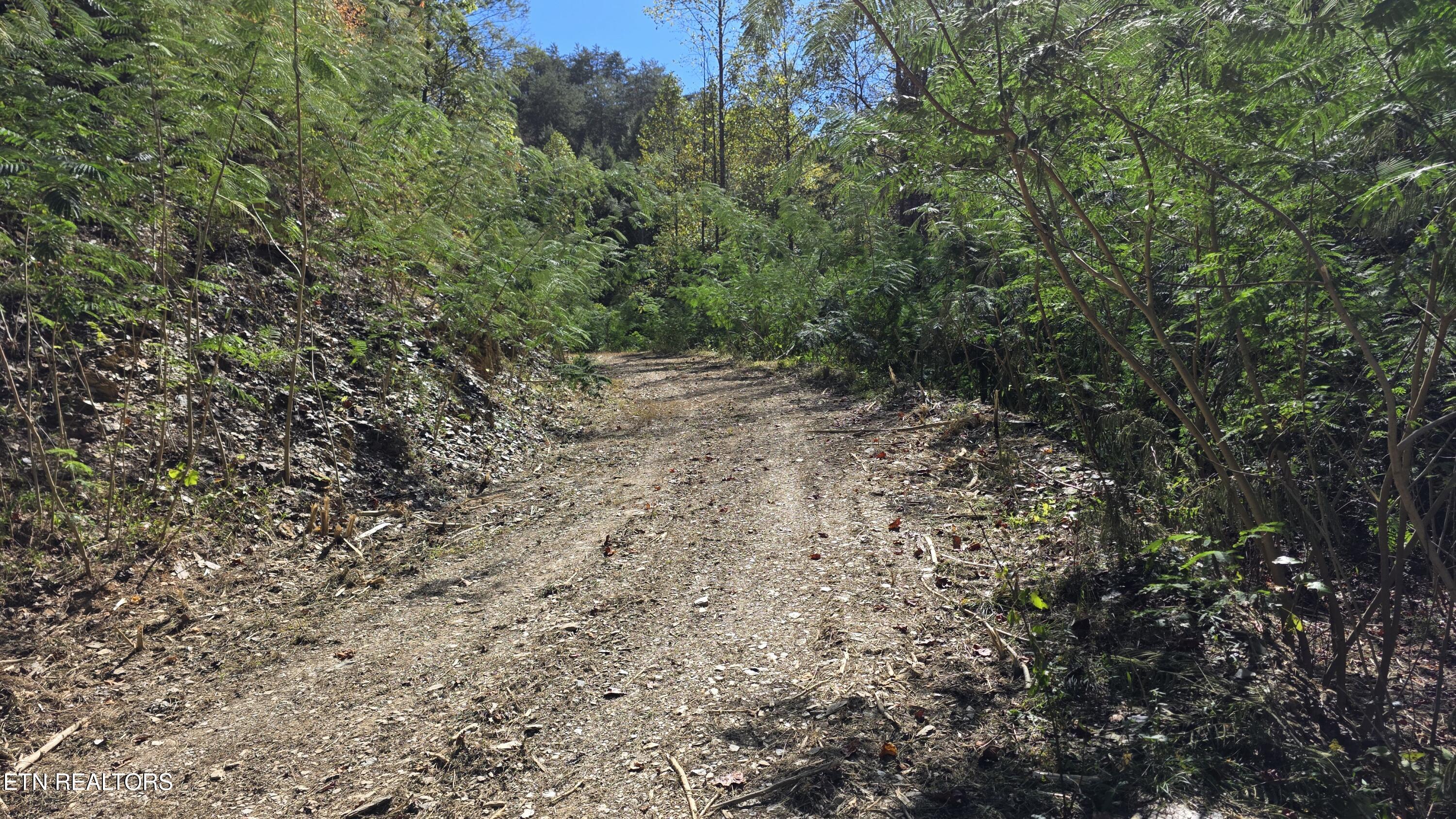 1876 Upper Middle Creek Road Sevierville TN 37876