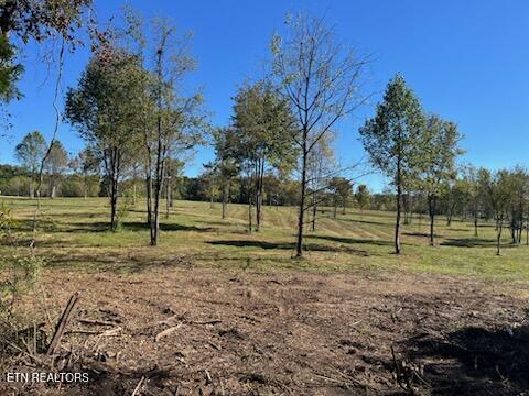 Stone Mill Lot 4 Road Jacksboro TN 37757