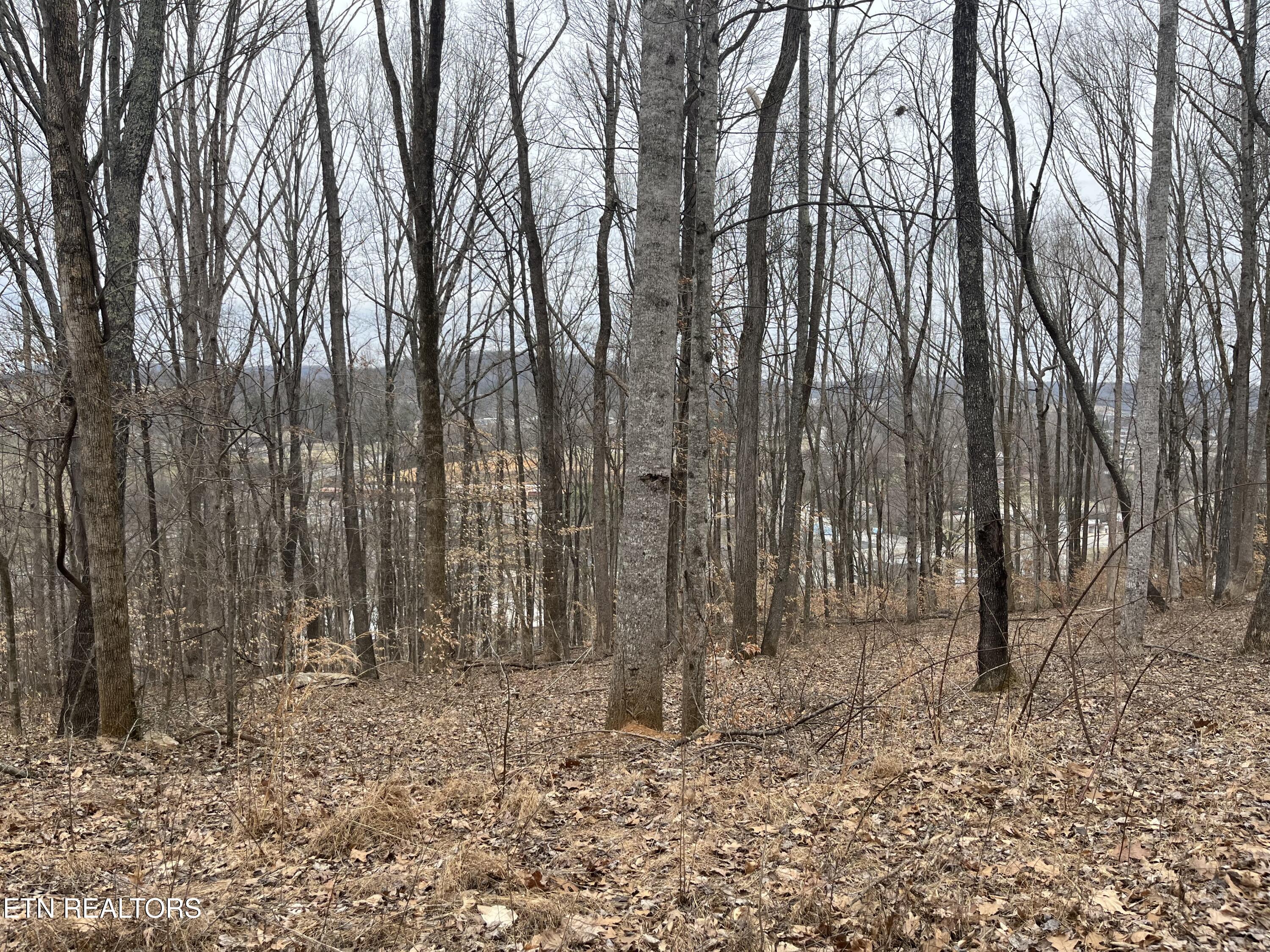 147 Chestnut Hill Road Livingston TN 38570