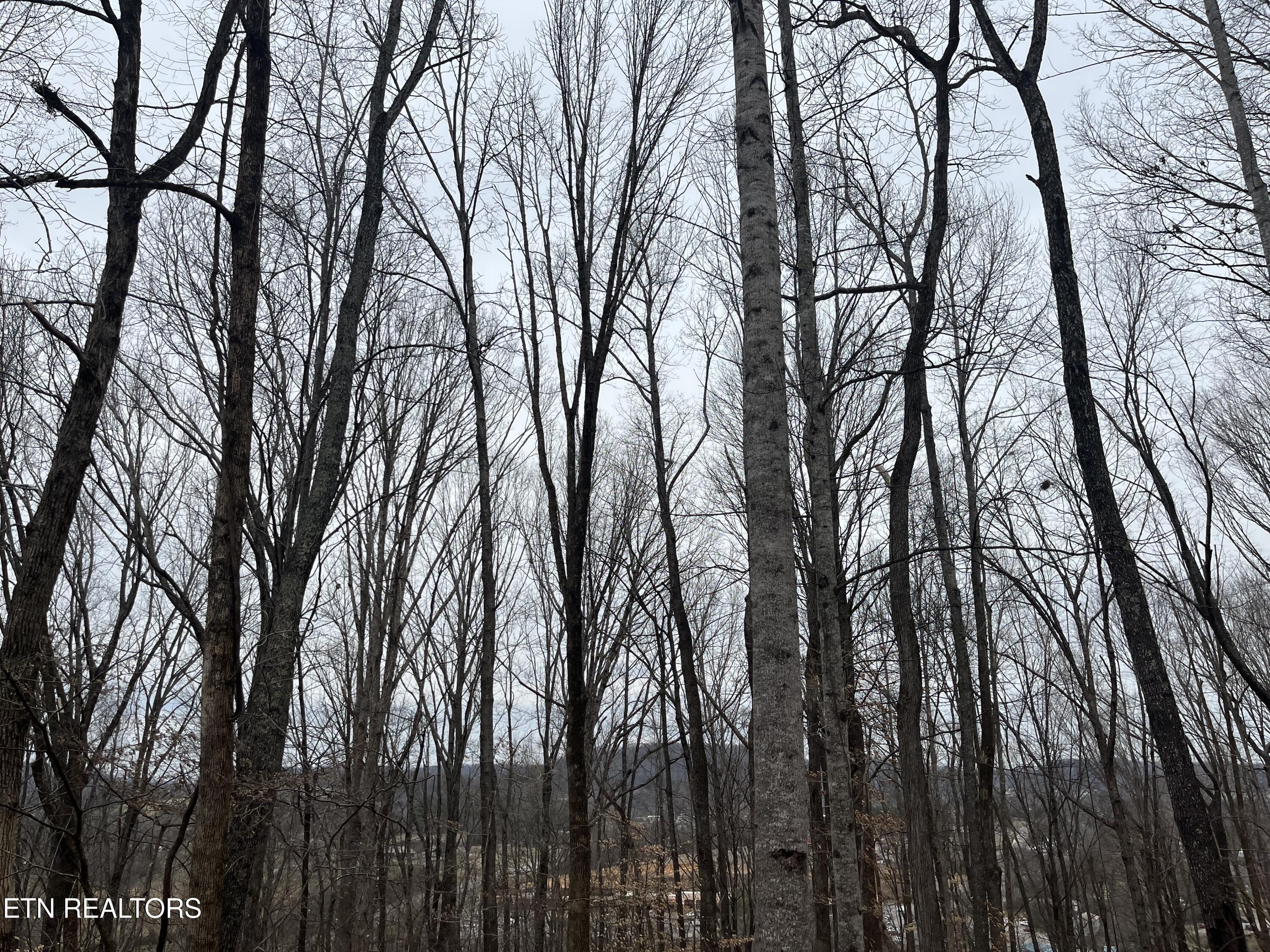 147 Chestnut Hill Road Livingston TN 38570