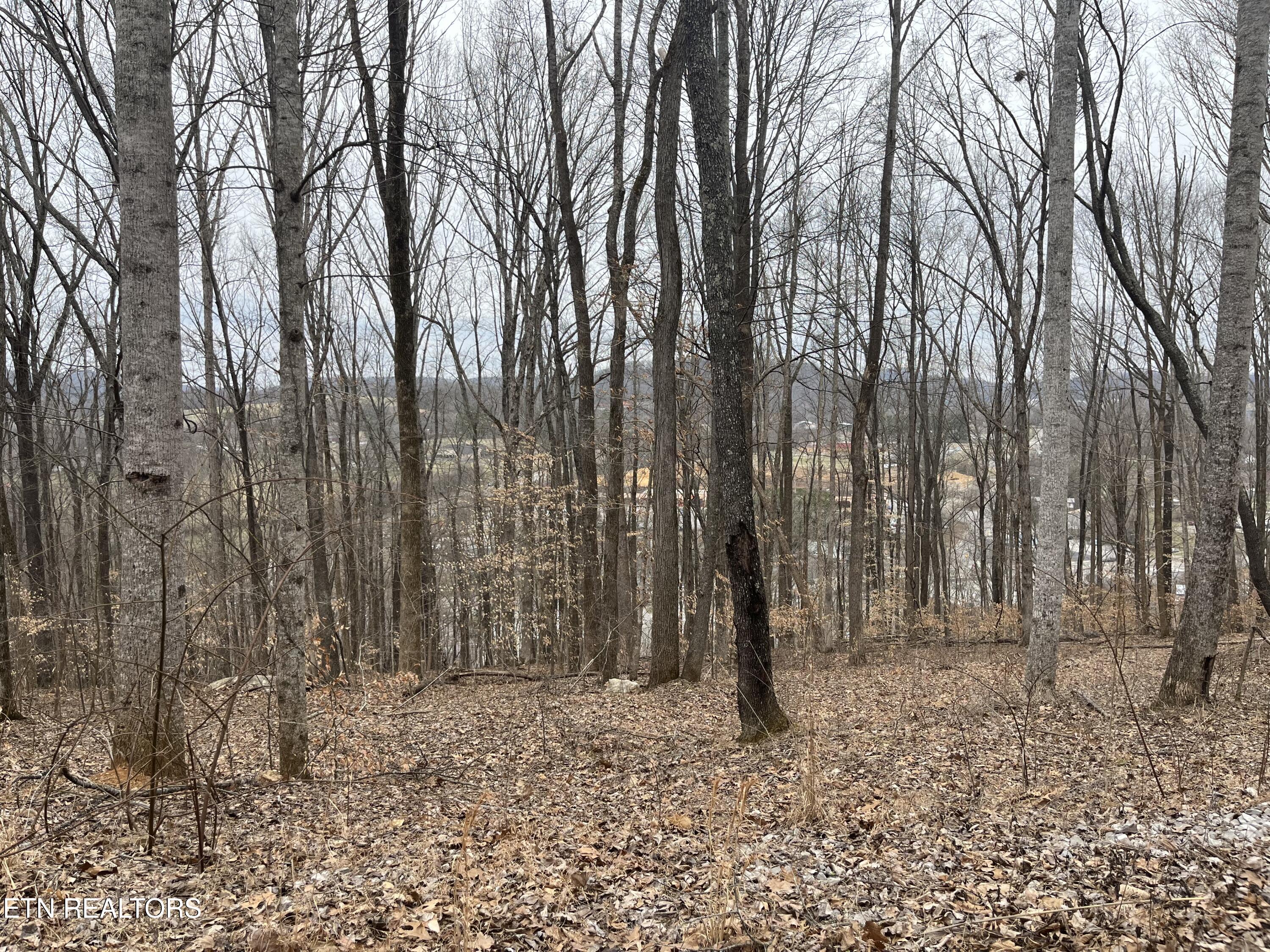 147 Chestnut Hill Road Livingston TN 38570
