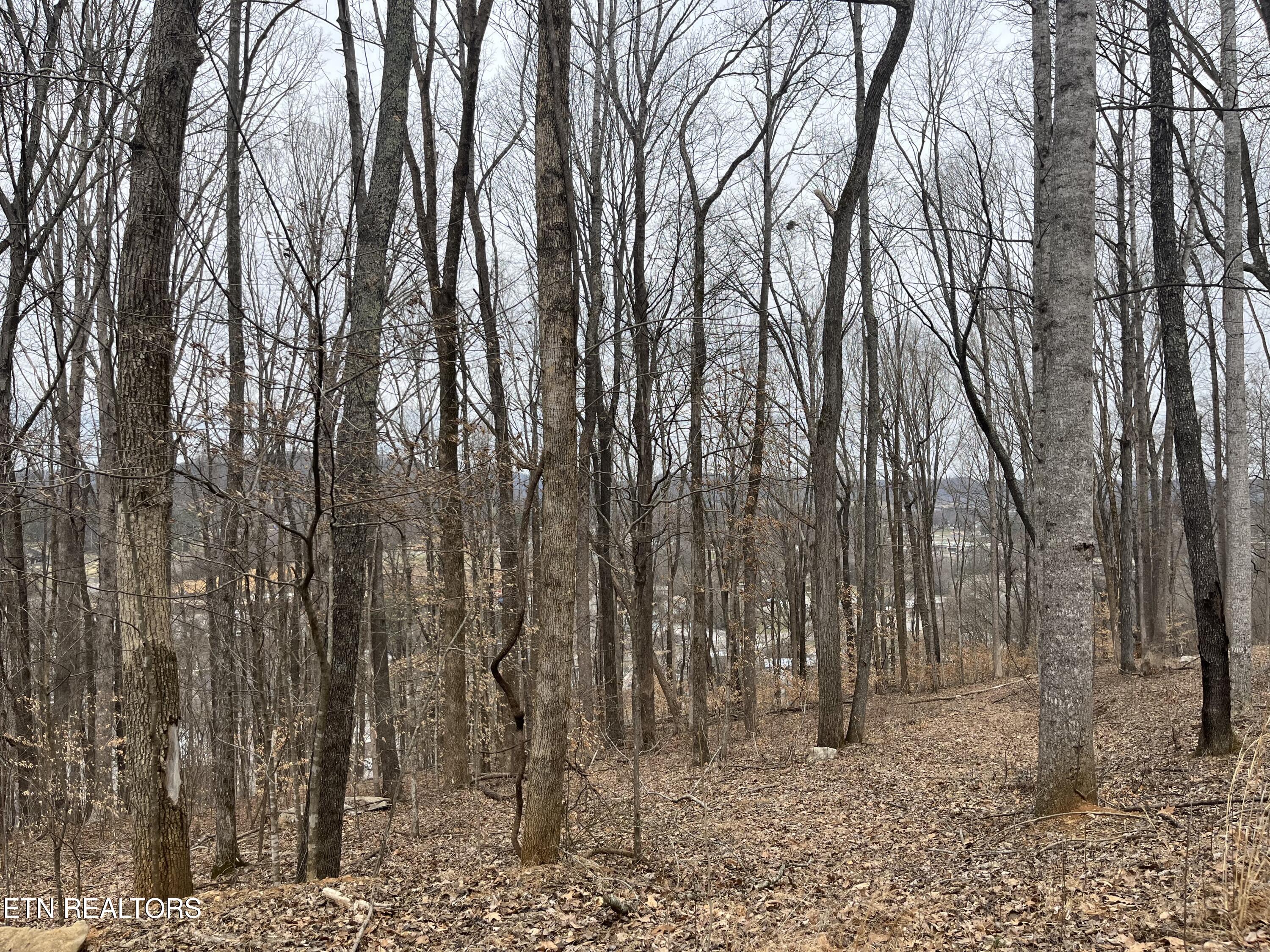 147 Chestnut Hill Road Livingston TN 38570