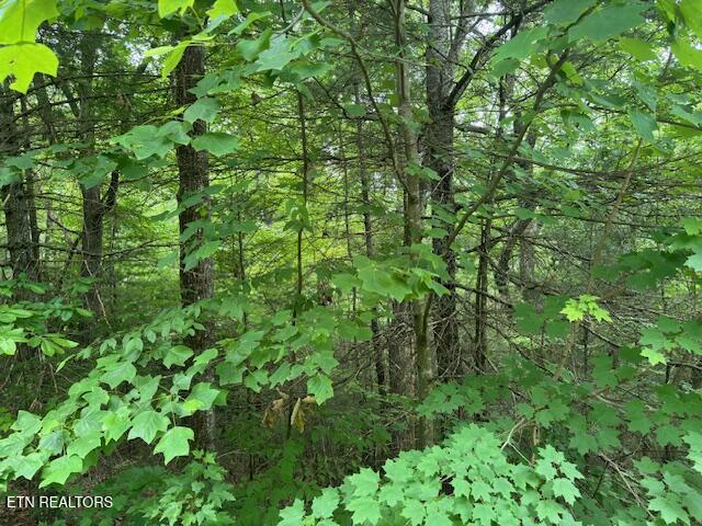 2808 Grist Mill Lane Sevierville TN 37862