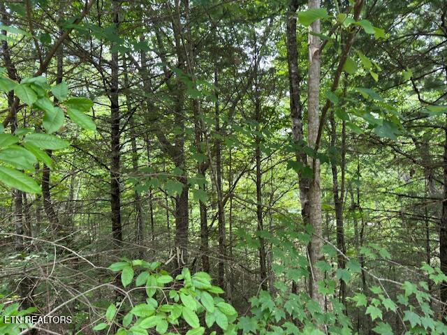 2808 Grist Mill Lane Sevierville TN 37862