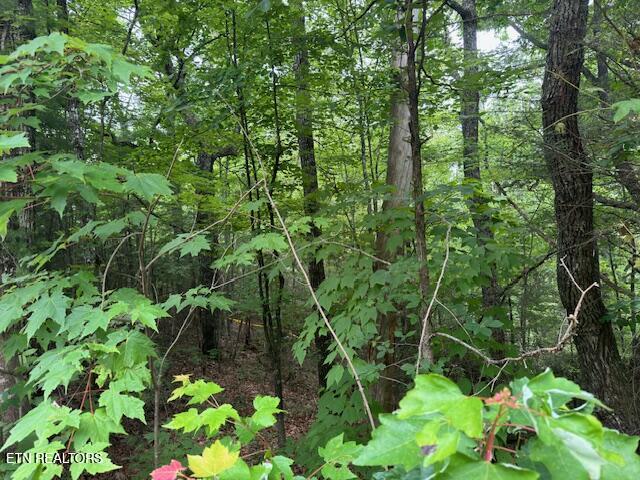 2808 Grist Mill Lane Sevierville TN 37862