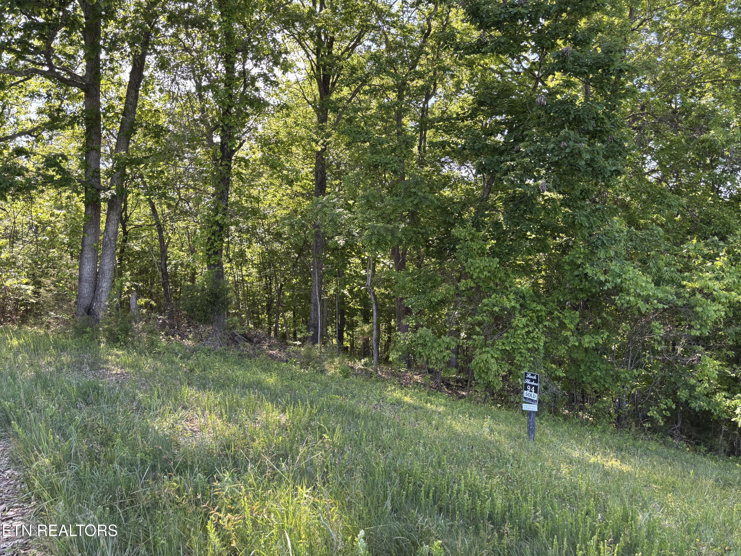 Flagstone Loop New Tazewell TN 37825