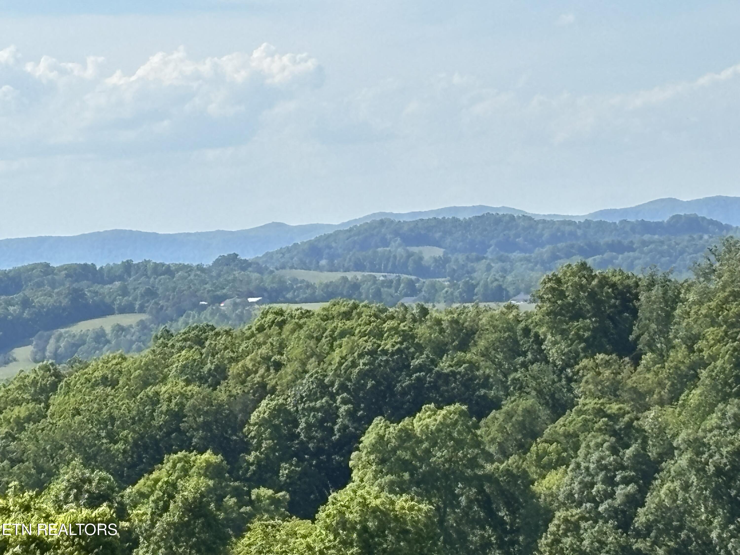 Flagstone Loop New Tazewell TN 37825