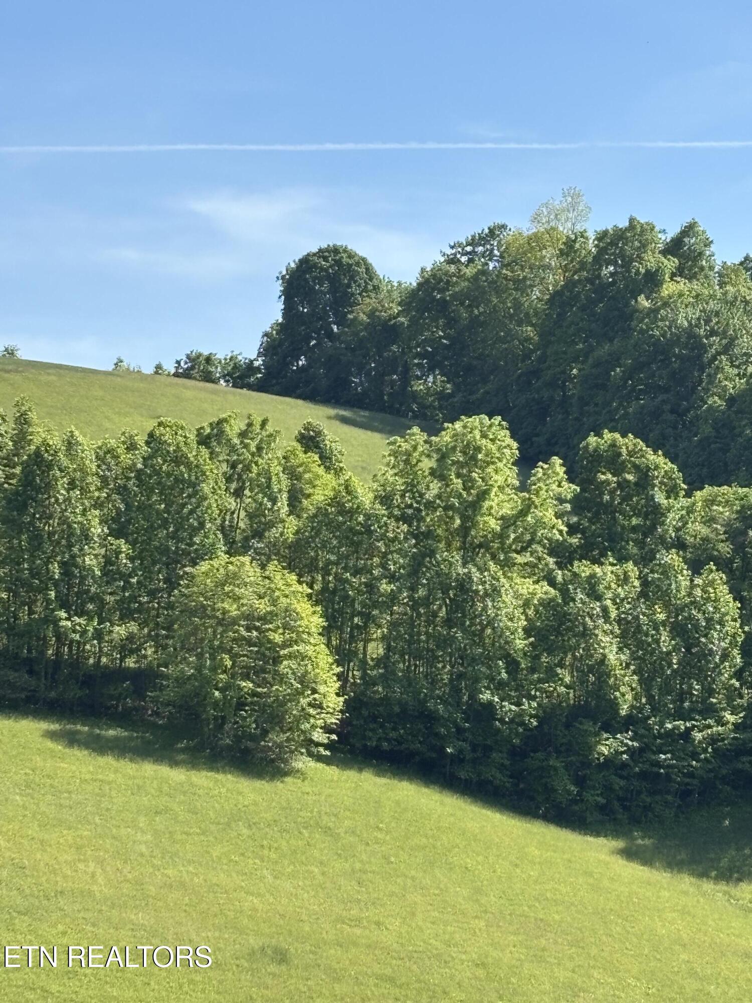 Flagstone Loop New Tazewell TN 37825