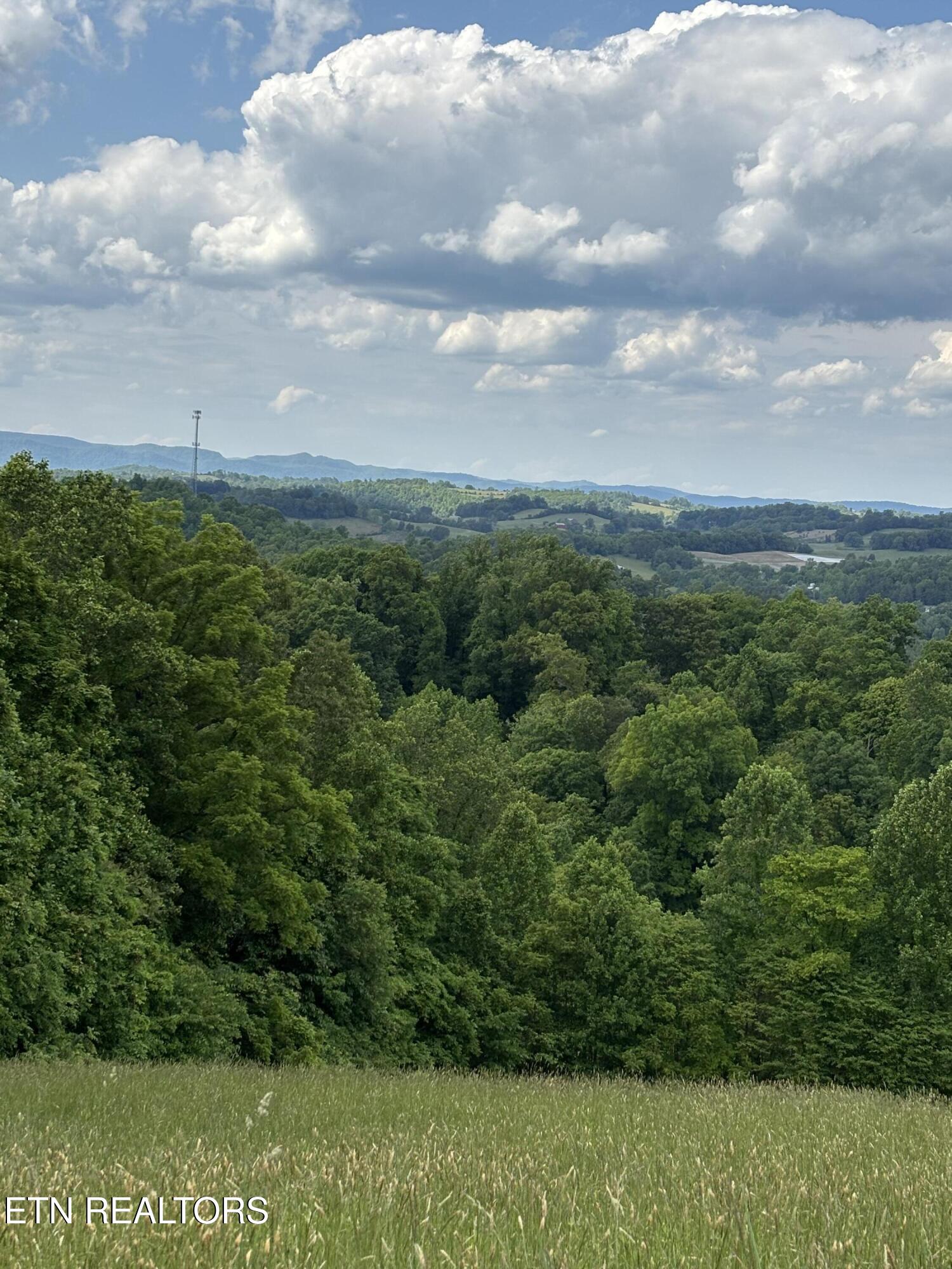 Flagstone Loop New Tazewell TN 37825