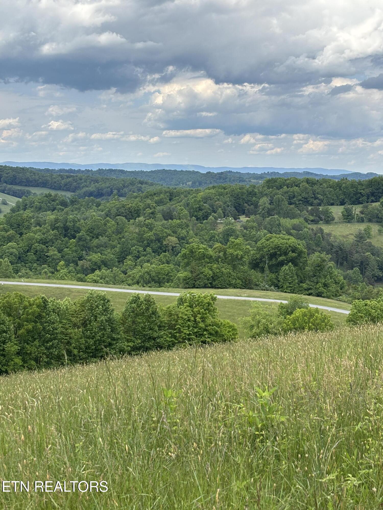 Flagstone Loop New Tazewell TN 37825