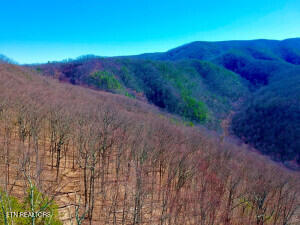 Lots 1-a, 2-a, 3-a Ravens Den Sevierville TN 37862