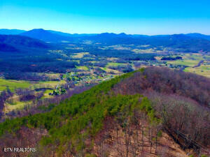 Lots 1-a, 2-a, 3-a Ravens Den Sevierville TN 37862