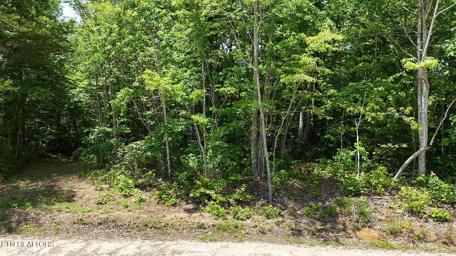 0 Sheep Ranch Road Oneida TN 37841