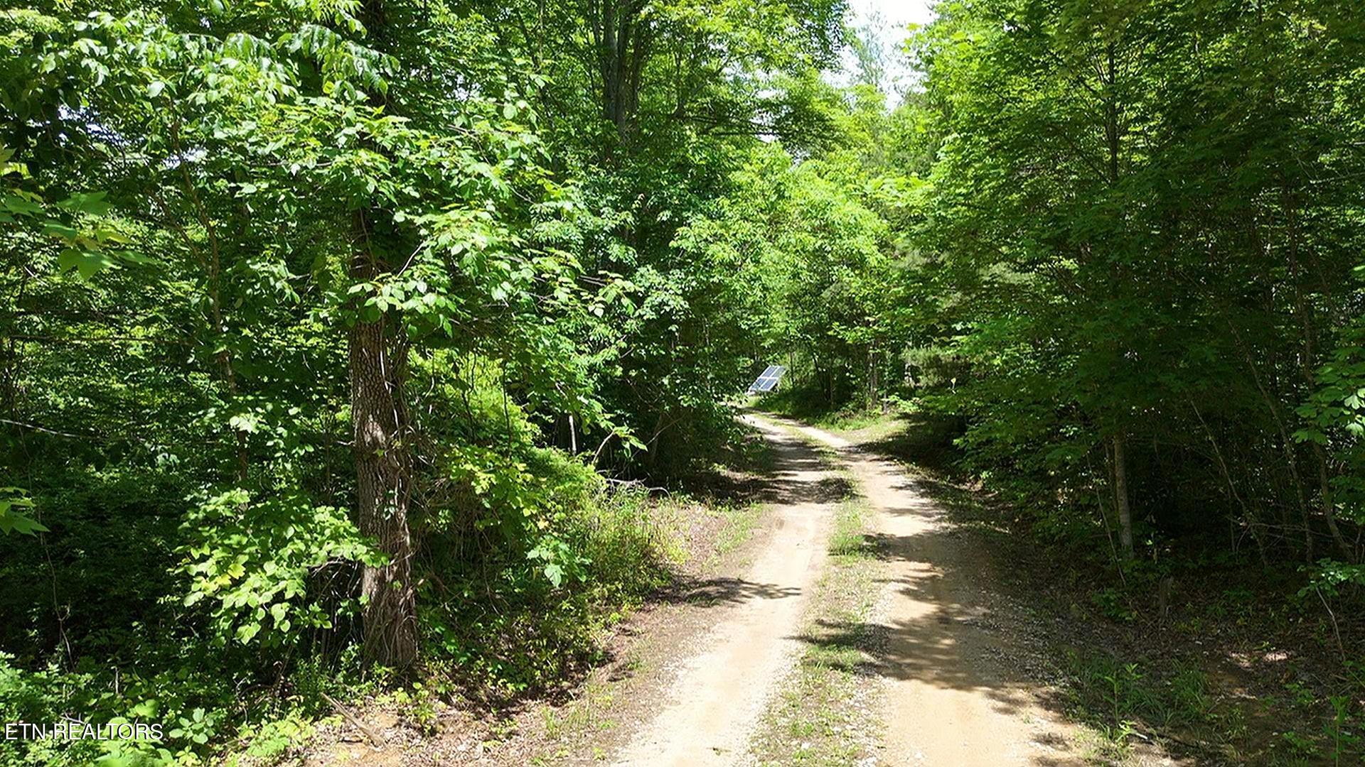 0 Sheep Ranch Road Oneida TN 37841