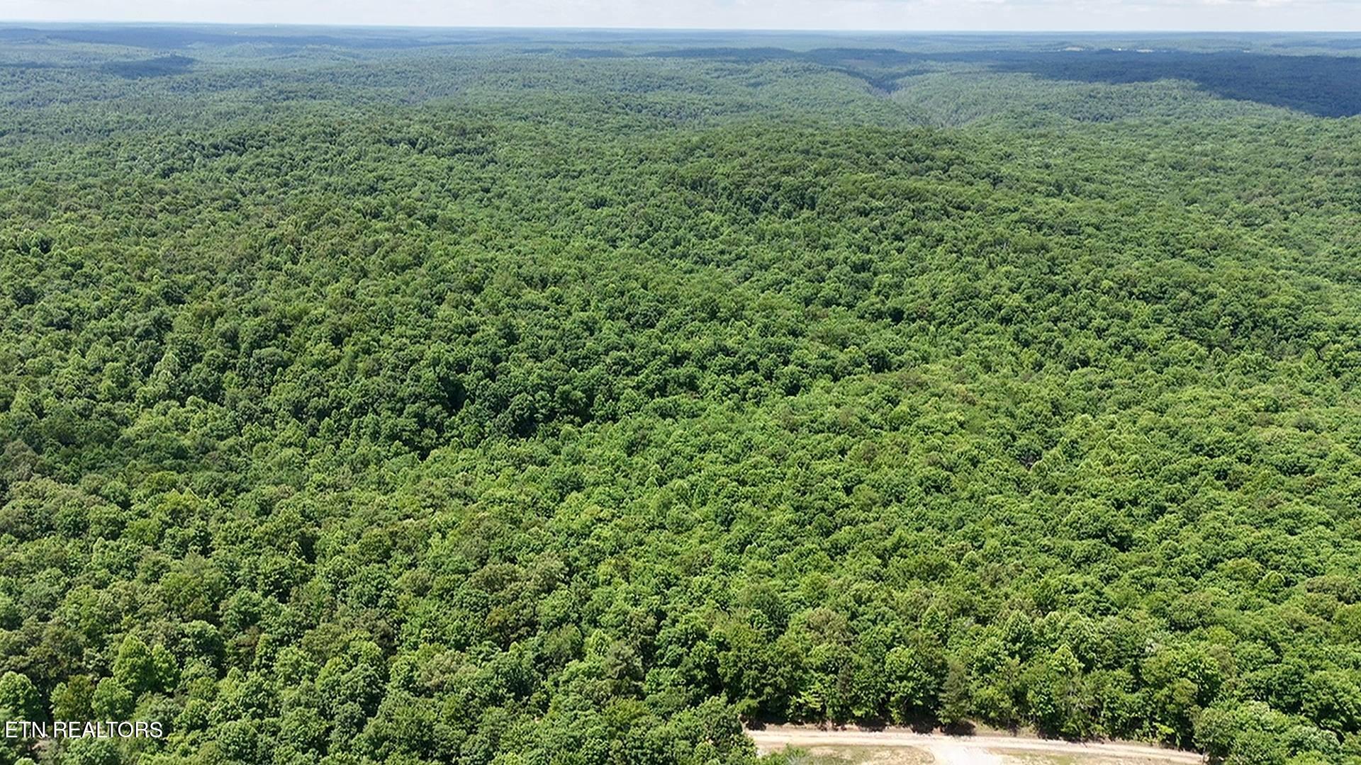 0 Sheep Ranch Road Oneida TN 37841