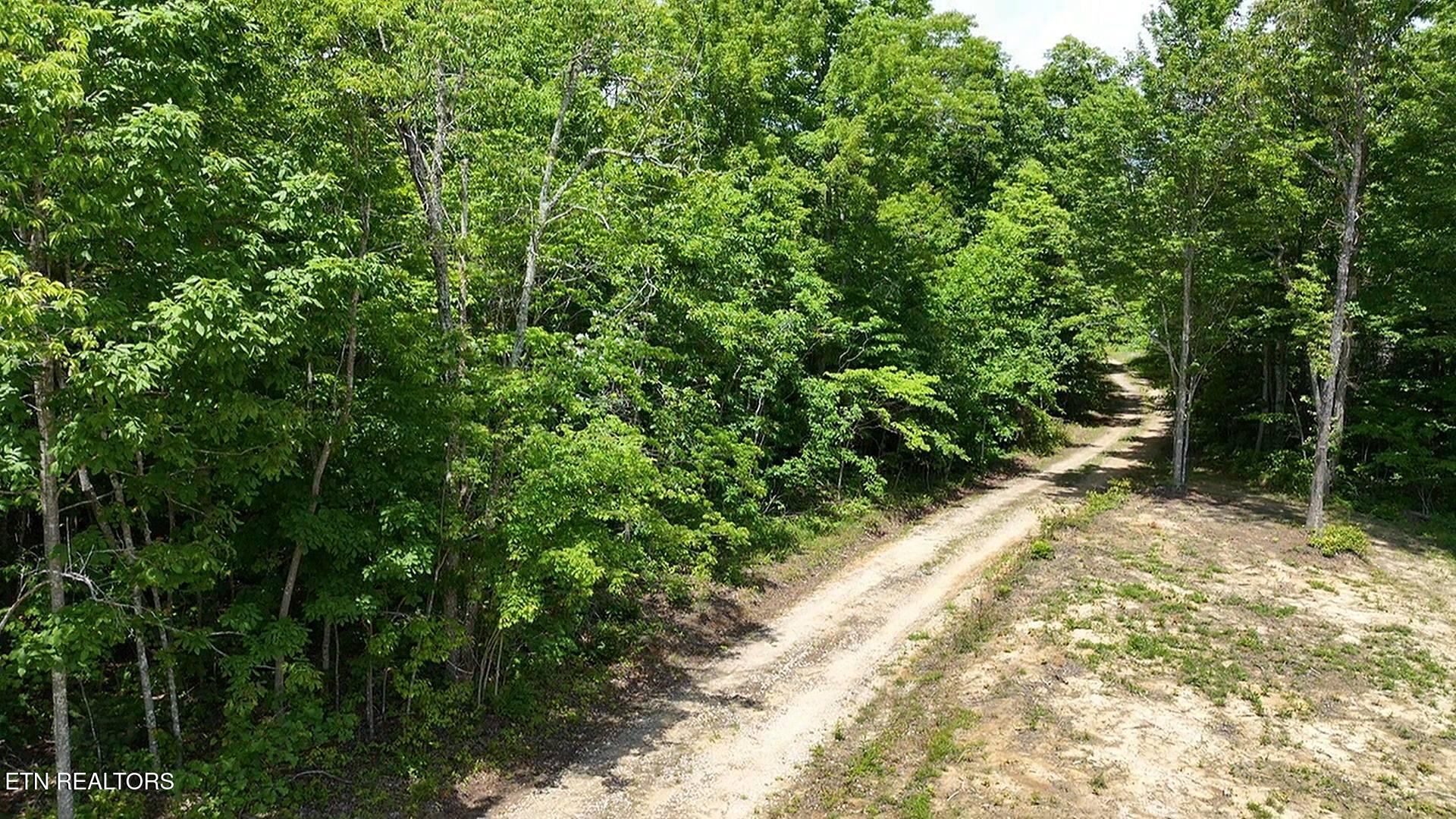 0 Sheep Ranch Road Oneida TN 37841