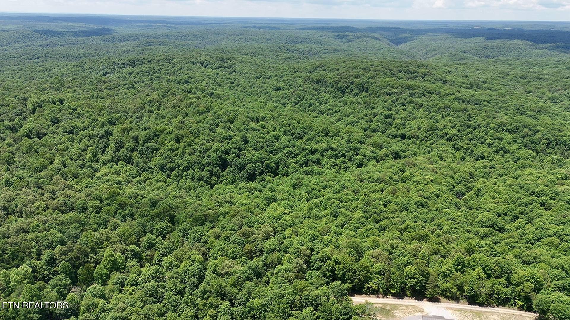 0 Sheep Ranch Road Oneida TN 37841