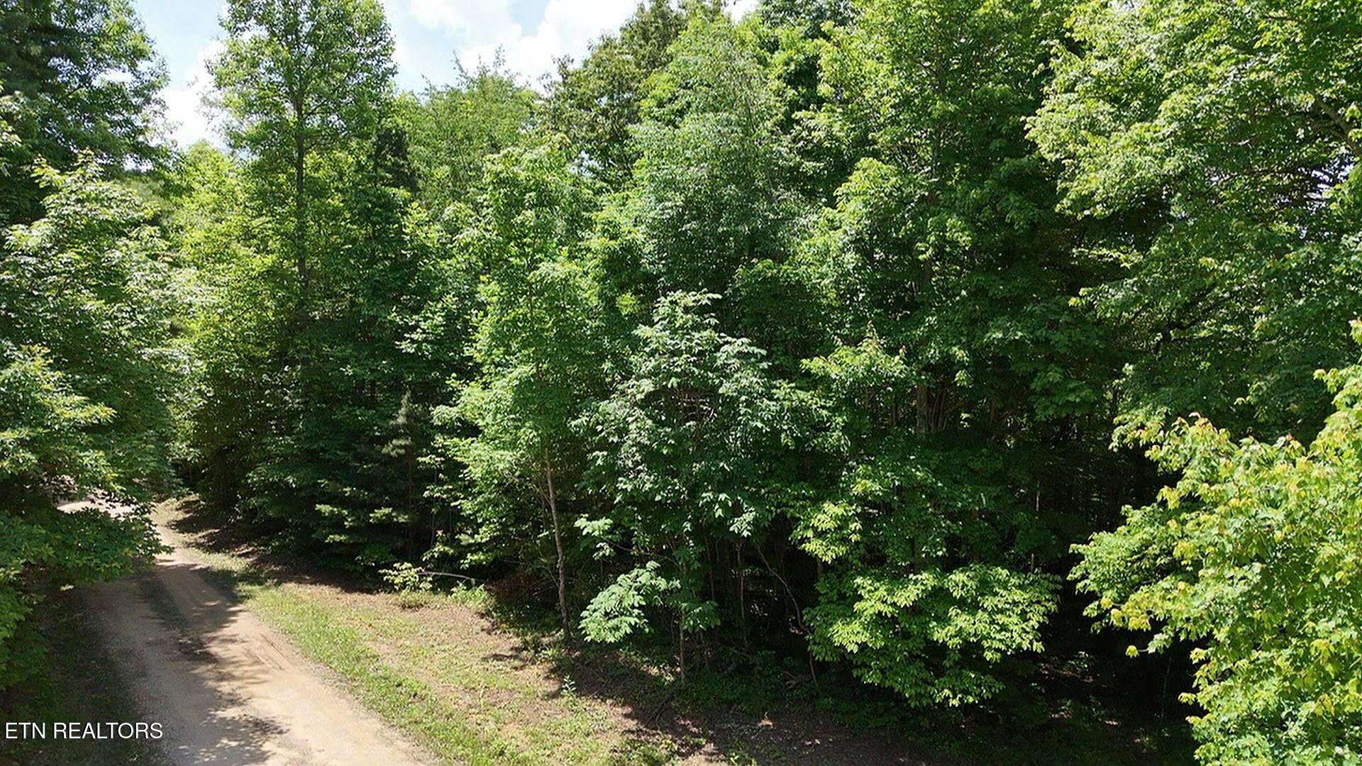 0 Sheep Ranch Road Oneida TN 37841