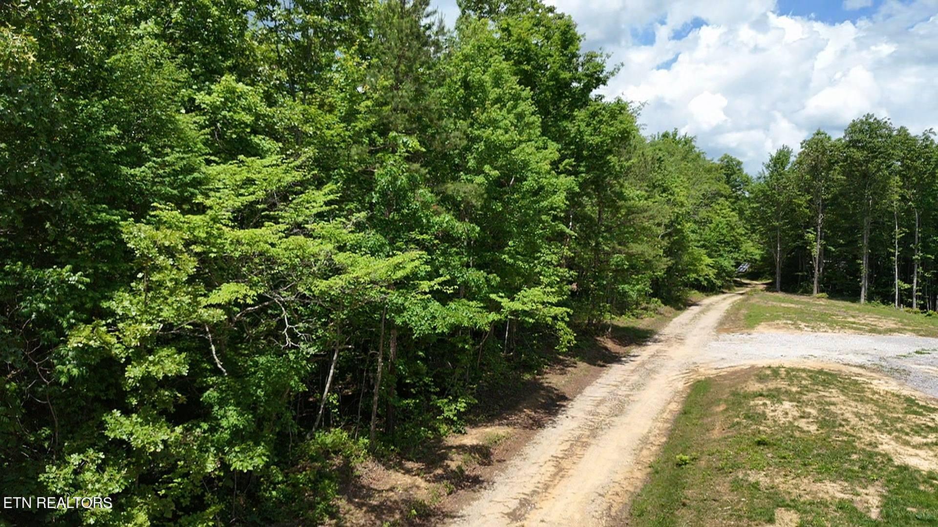 0 Sheep Ranch Road Oneida TN 37841