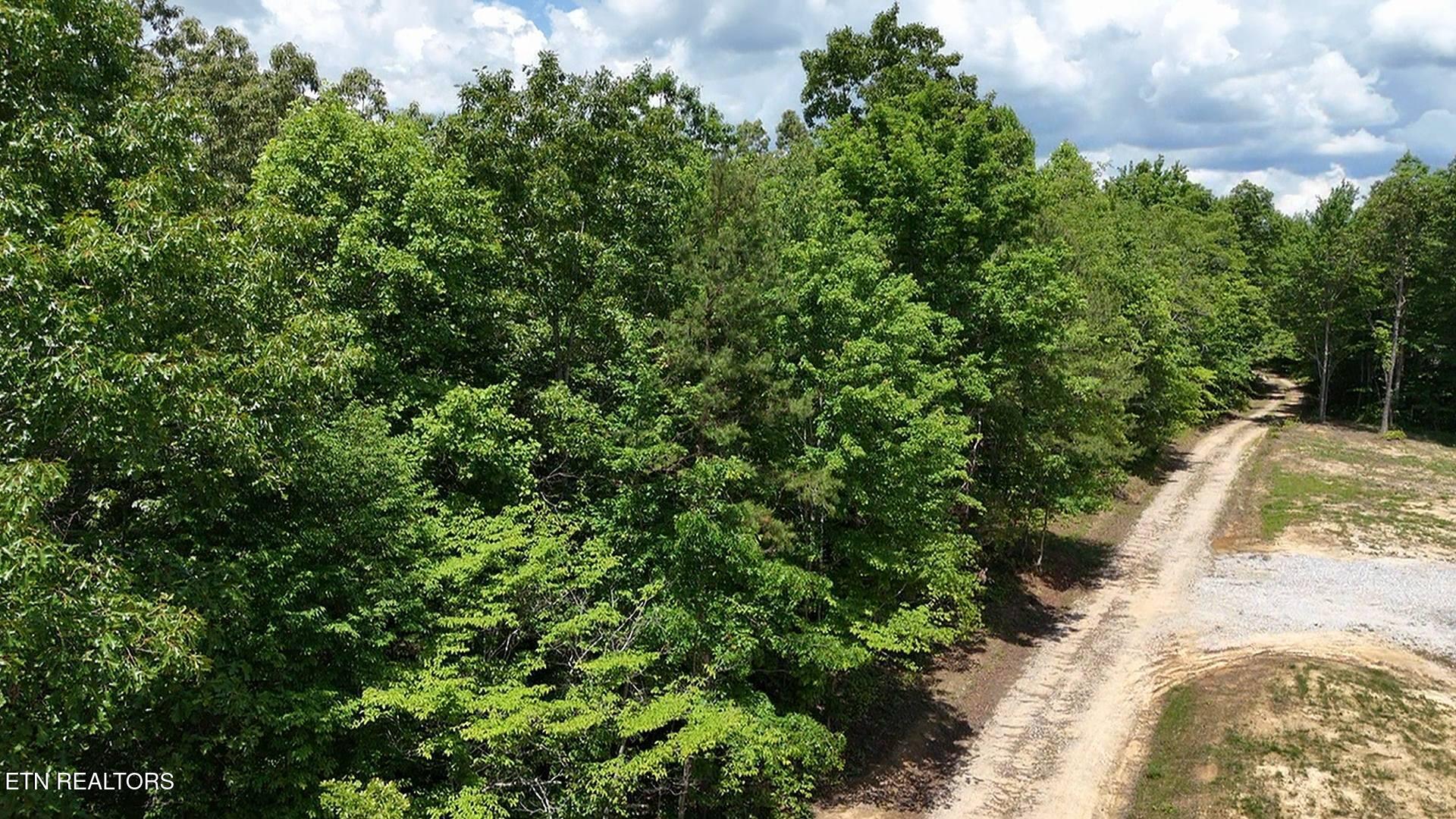 0 Sheep Ranch Road Oneida TN 37841