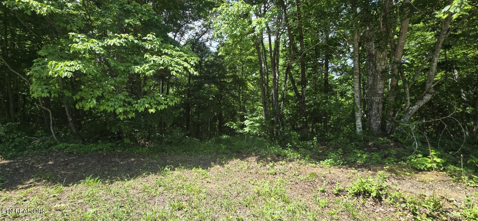 0 Sheep Ranch Road Oneida TN 37841