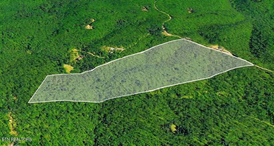 0 Sheep Ranch Road Oneida TN 37841