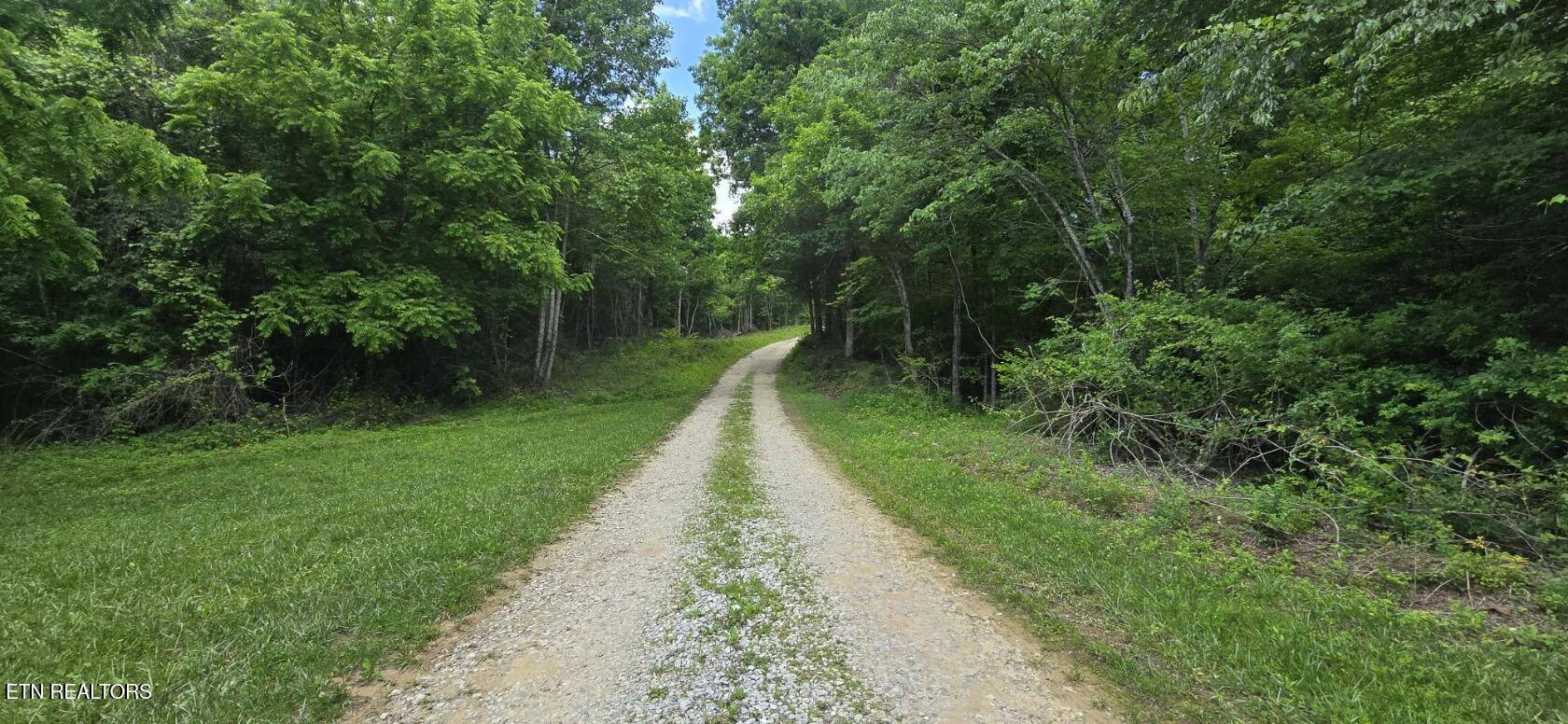 0 Sheep Ranch Road Oneida TN 37841