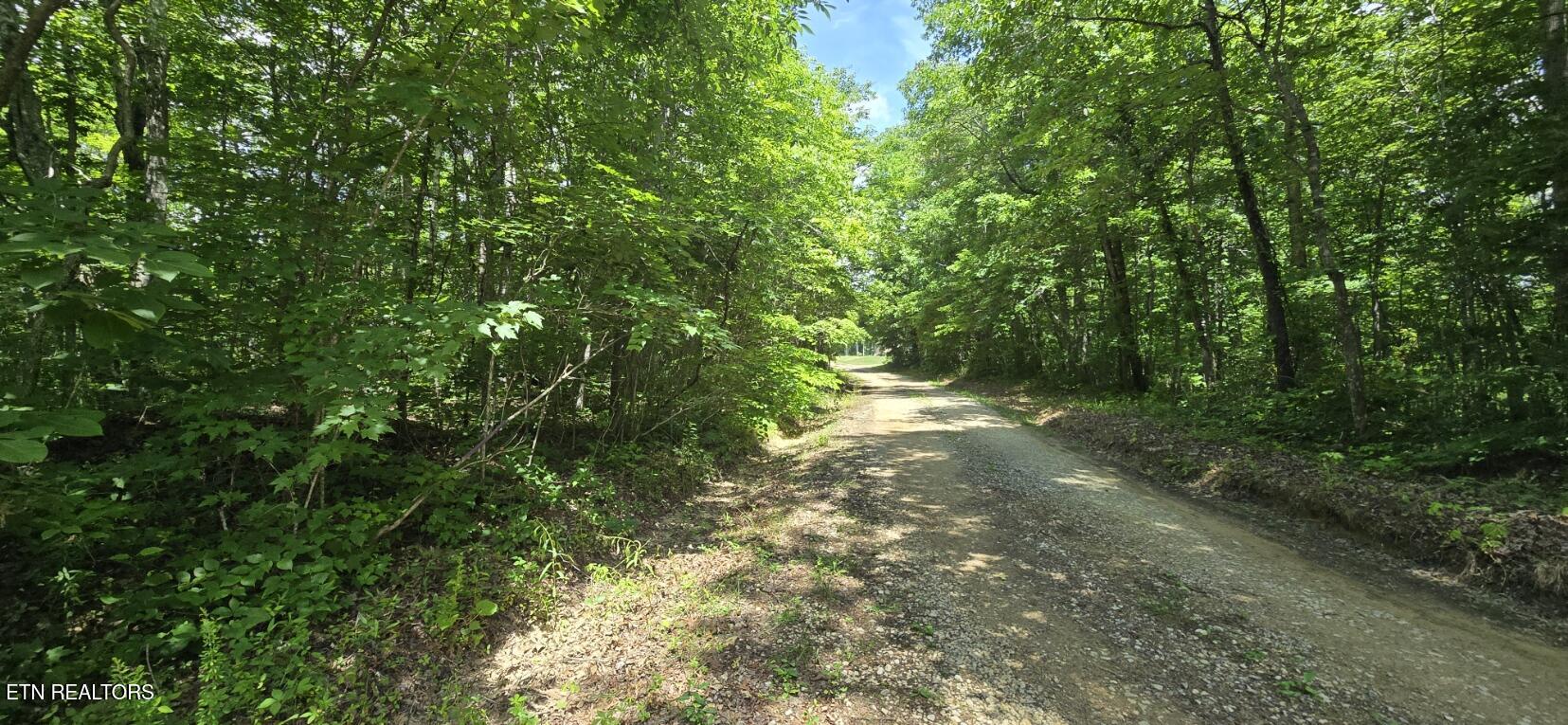 0 Sheep Ranch Road Oneida TN 37841