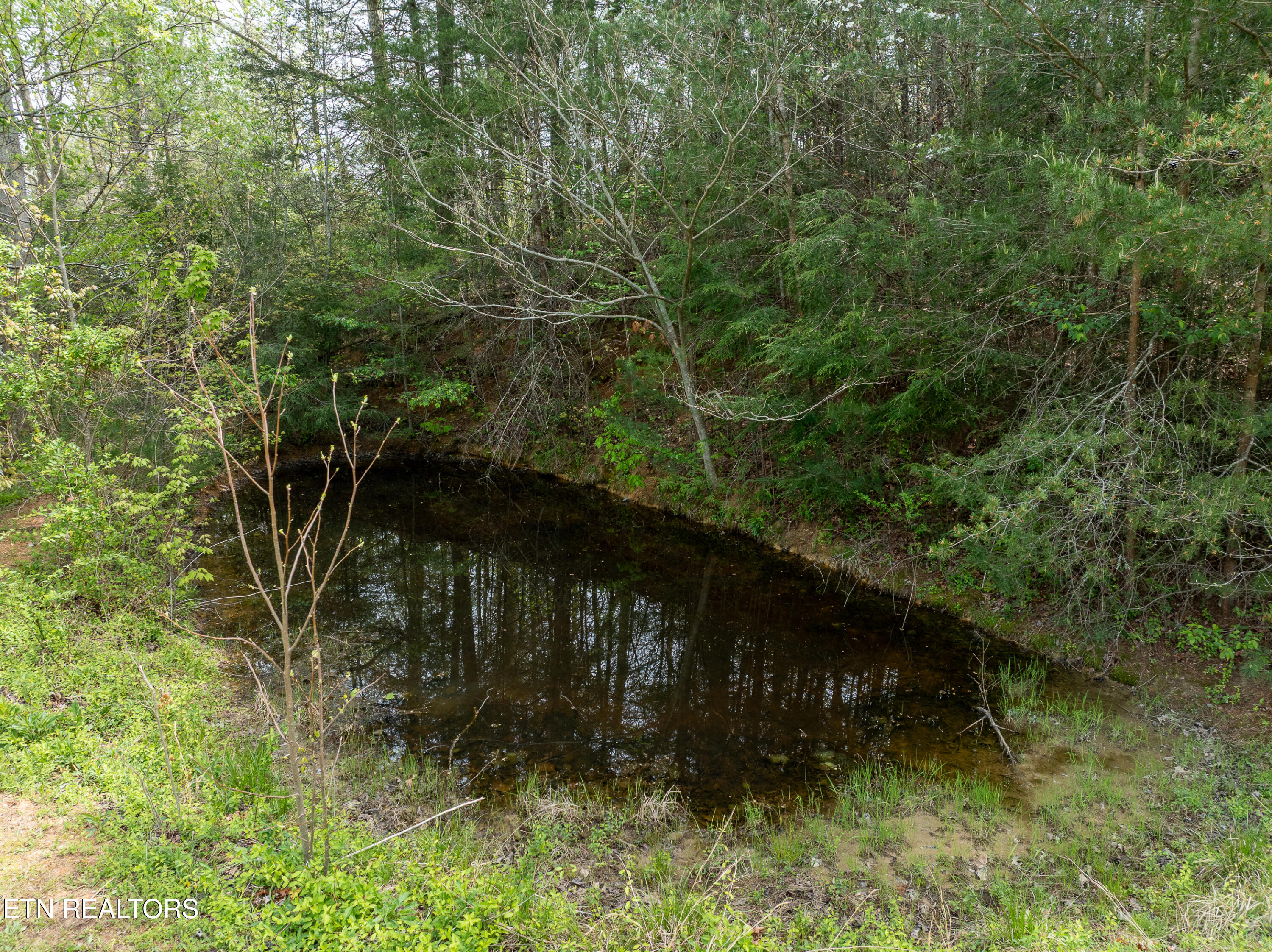 Dry Valley Road Townsend TN 37882