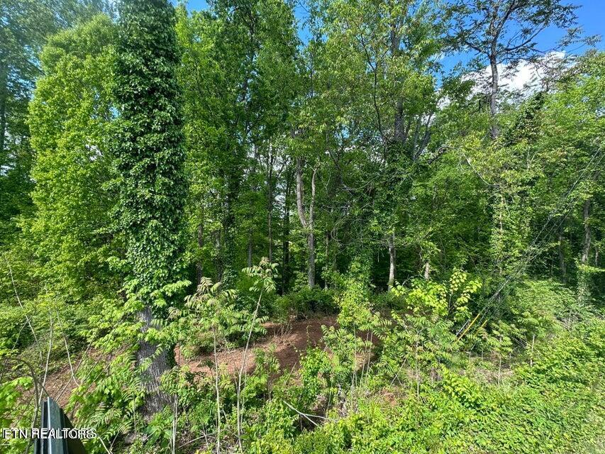 7517 7521 Twining Drive Knoxville TN 37919