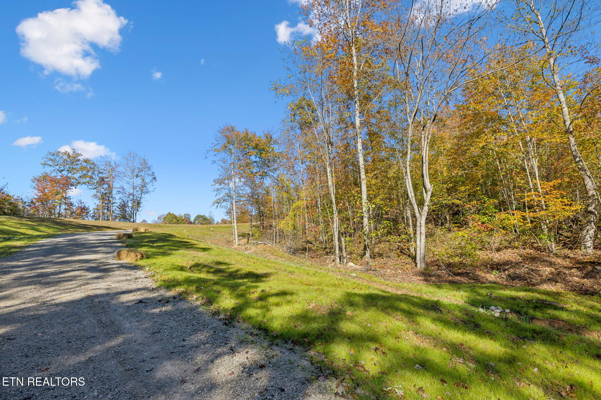 Sheep Ranch Road Robbins TN 37852