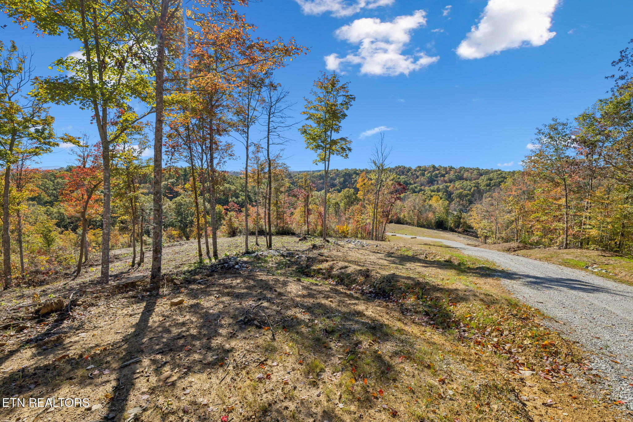 Sheep Ranch Road Robbins TN 37852