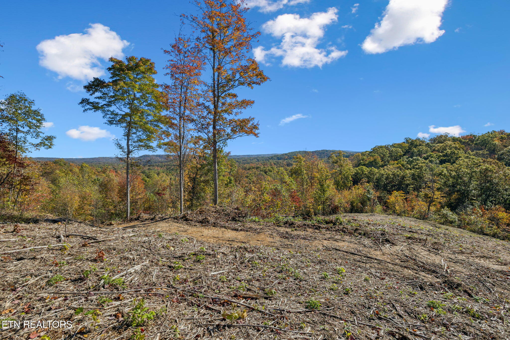 Sheep Ranch Road Robbins TN 37852