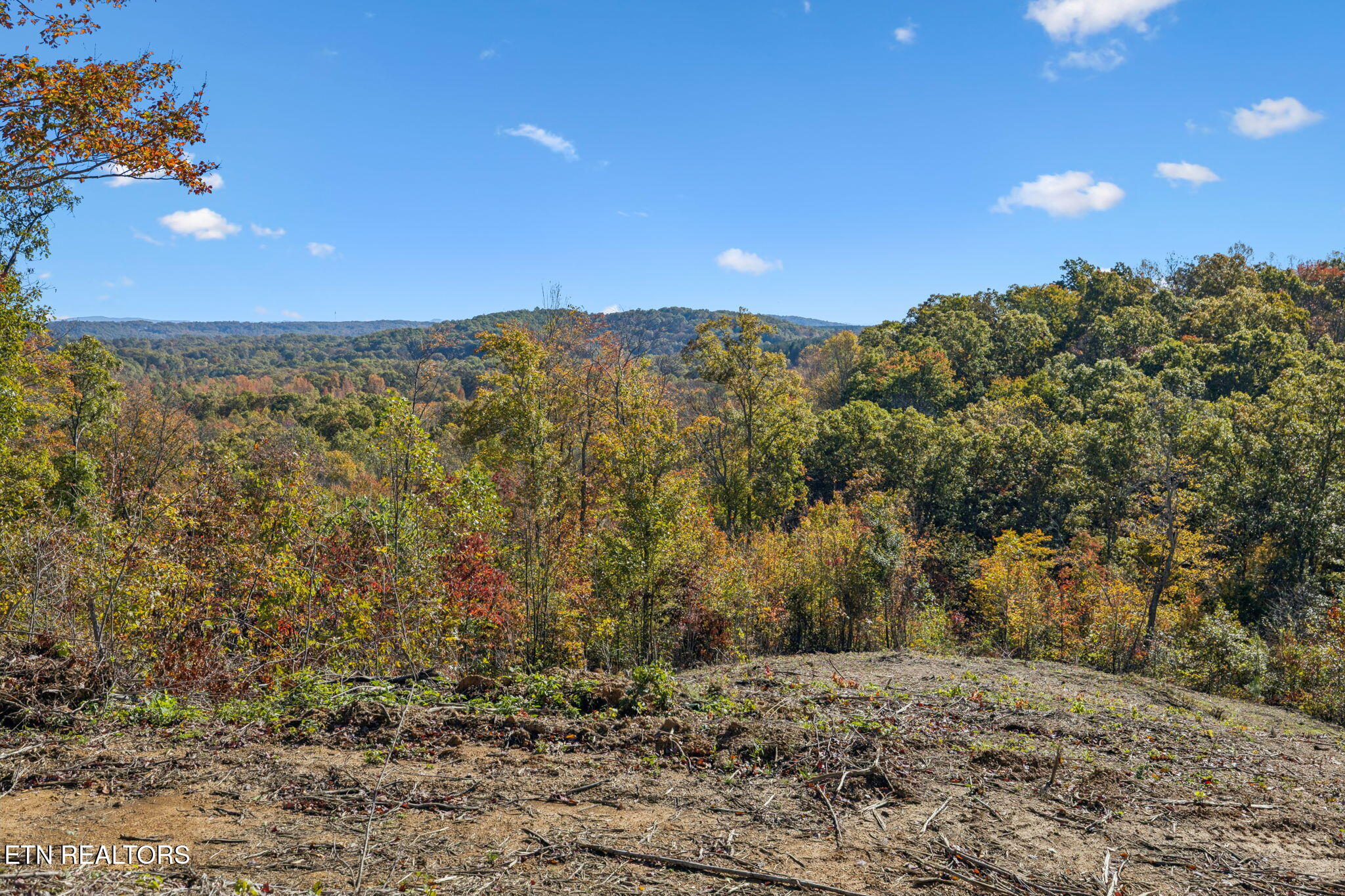 Sheep Ranch Road Robbins TN 37852