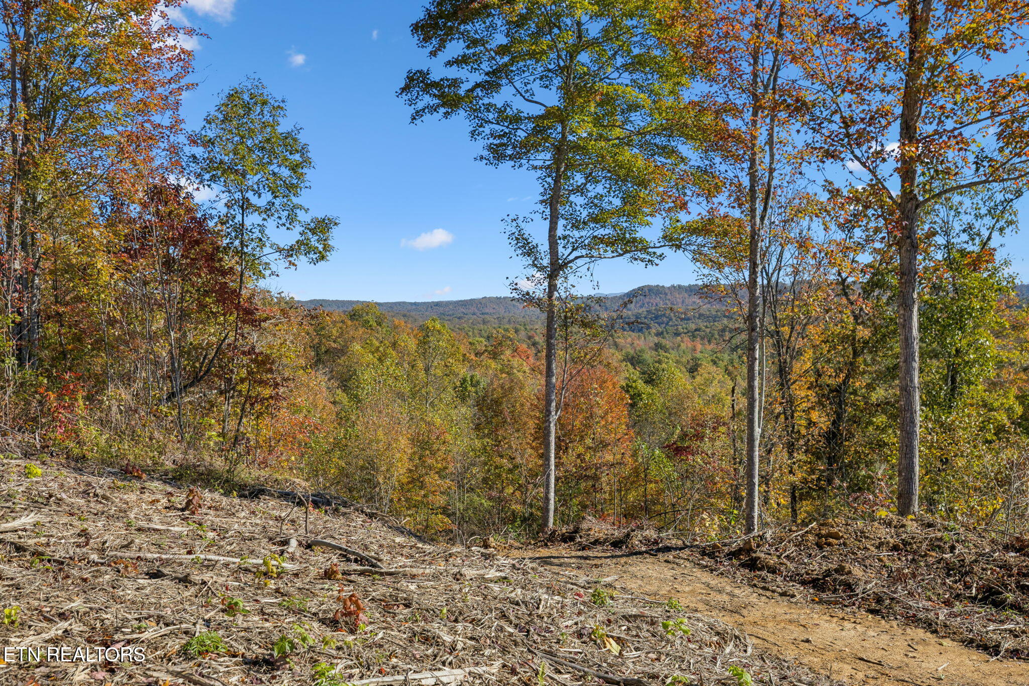 Sheep Ranch Road Robbins TN 37852