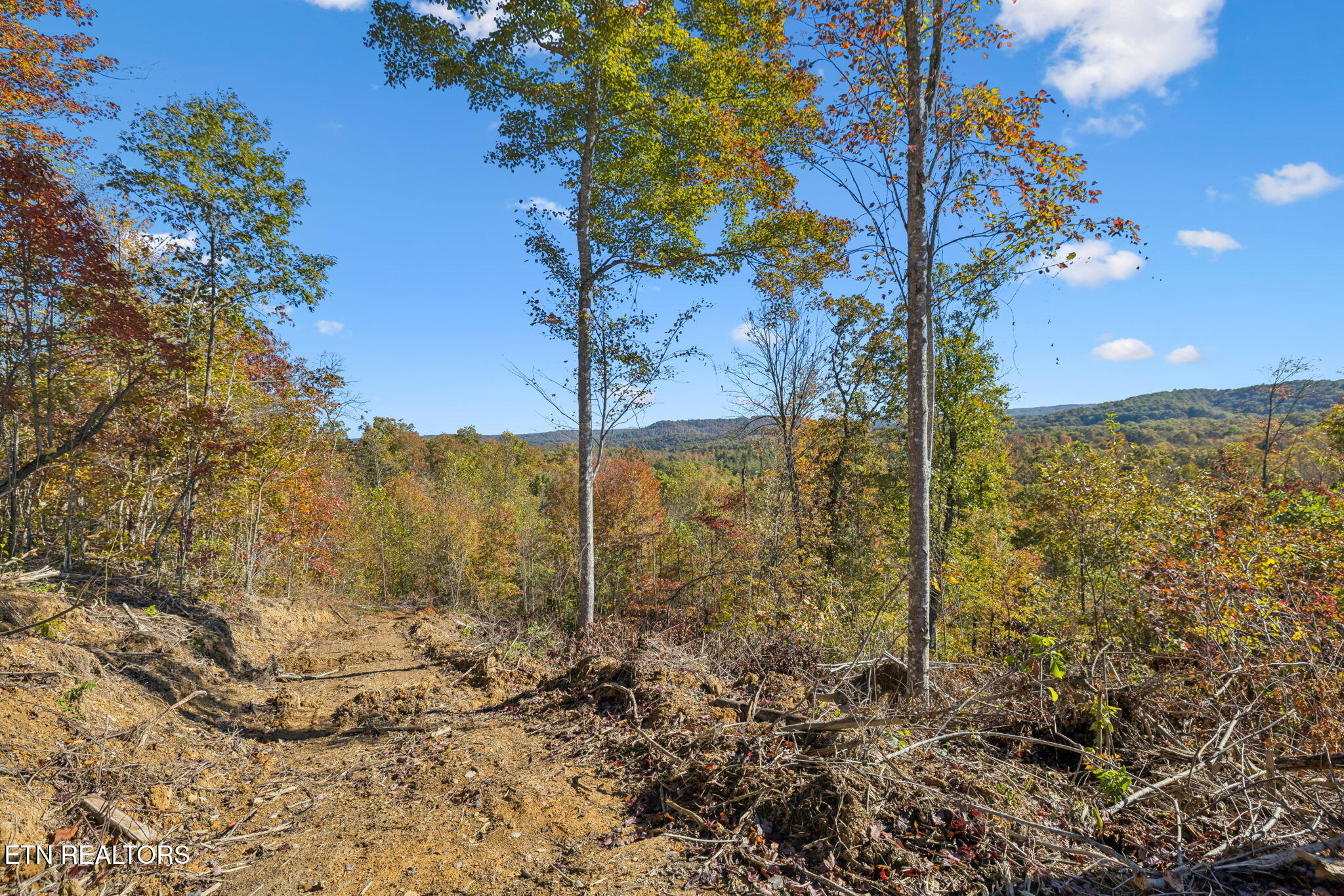 Sheep Ranch Road Robbins TN 37852