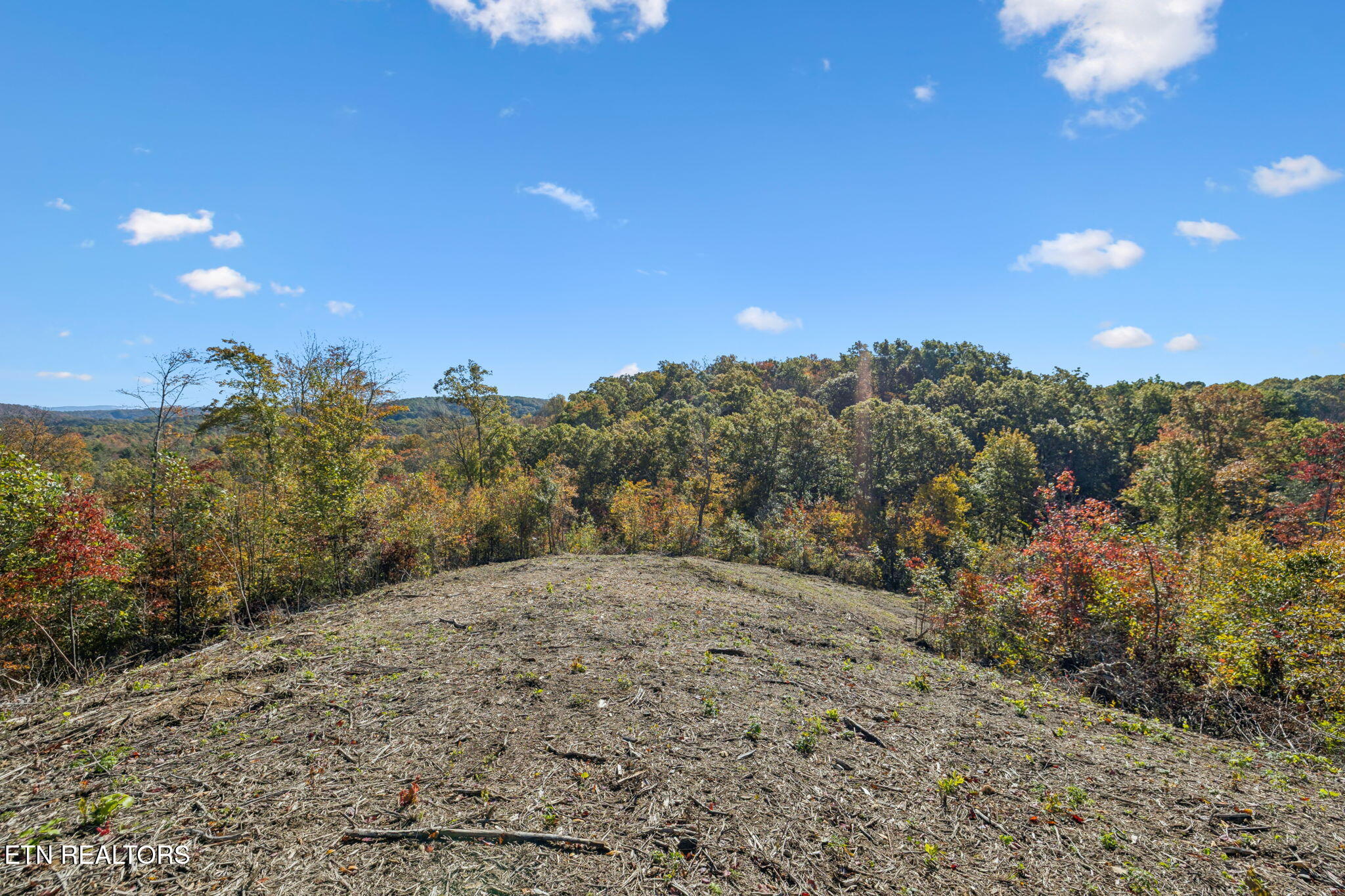 Sheep Ranch Road Robbins TN 37852