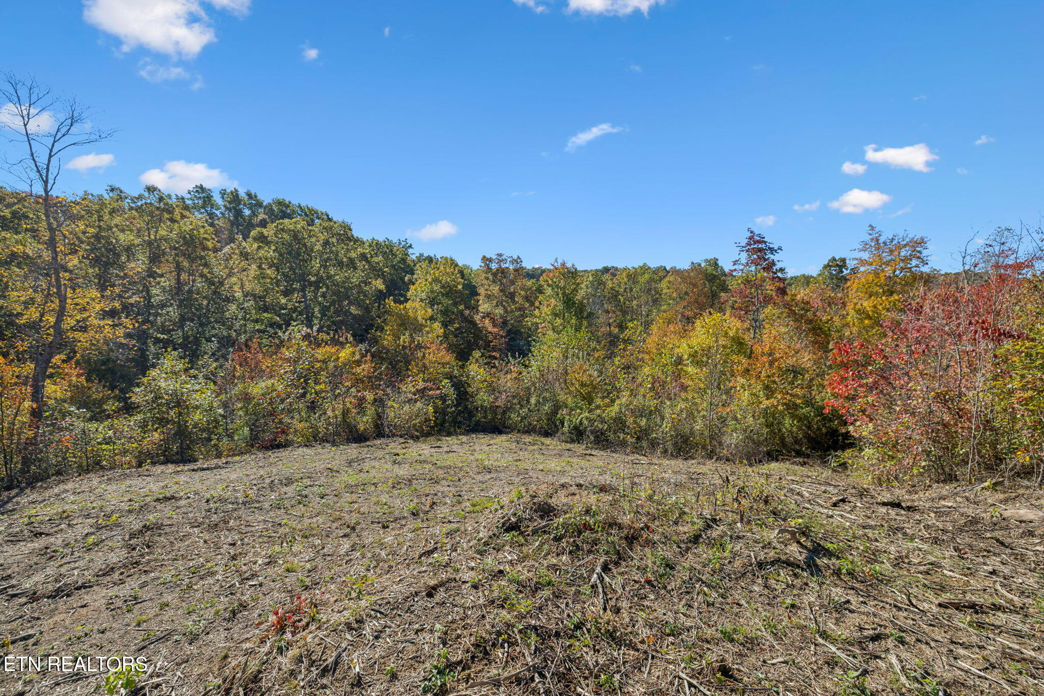 Sheep Ranch Road Robbins TN 37852