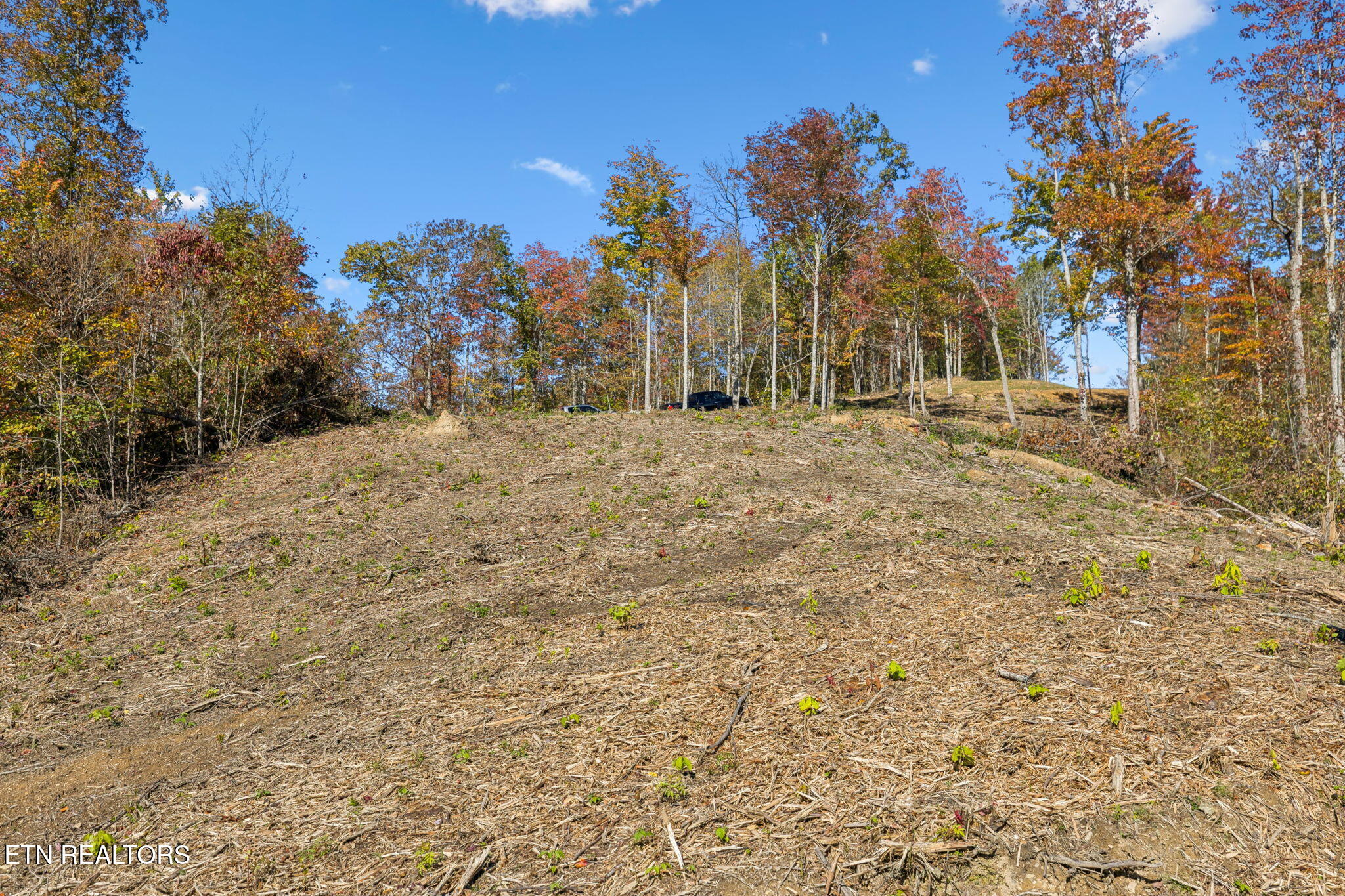 Sheep Ranch Road Robbins TN 37852
