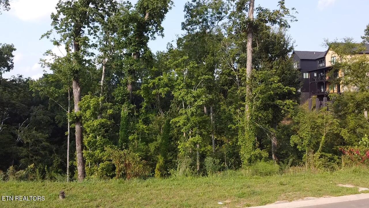 Lot 144 Reedmont Way Sevierville TN 37876