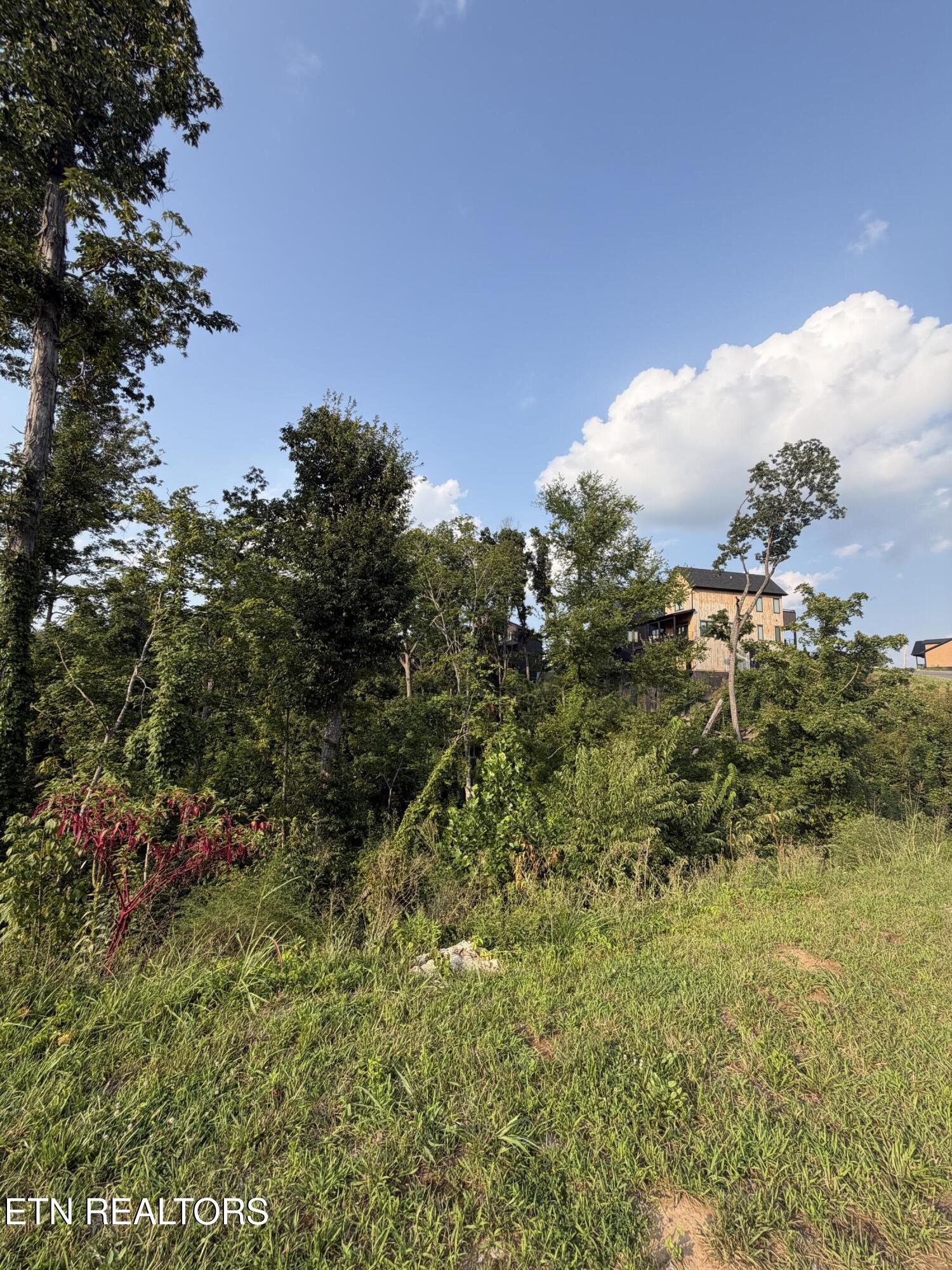 Lot 144 Reedmont Way Sevierville TN 37876