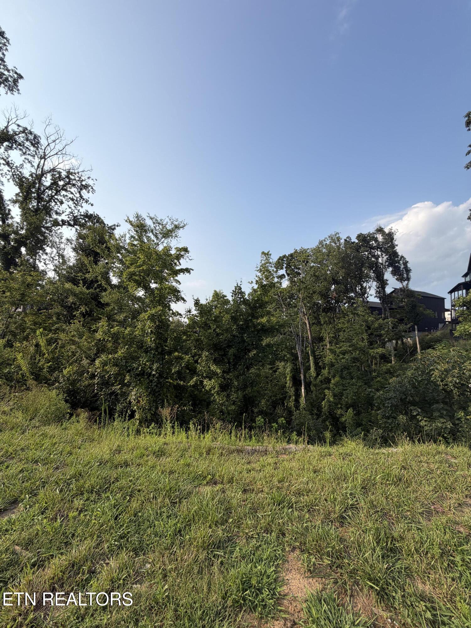 Lot 144 Reedmont Way Sevierville TN 37876