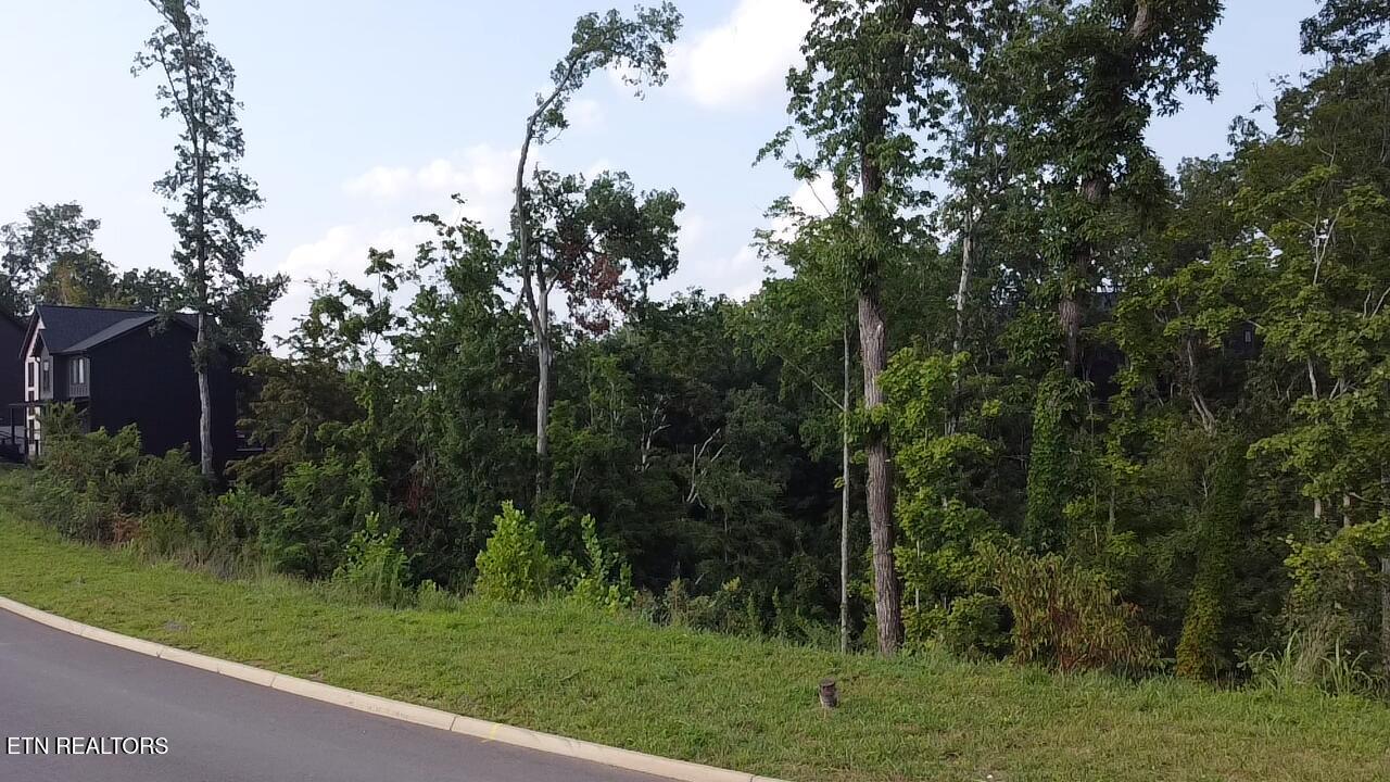 Lot 144 Reedmont Way Sevierville TN 37876