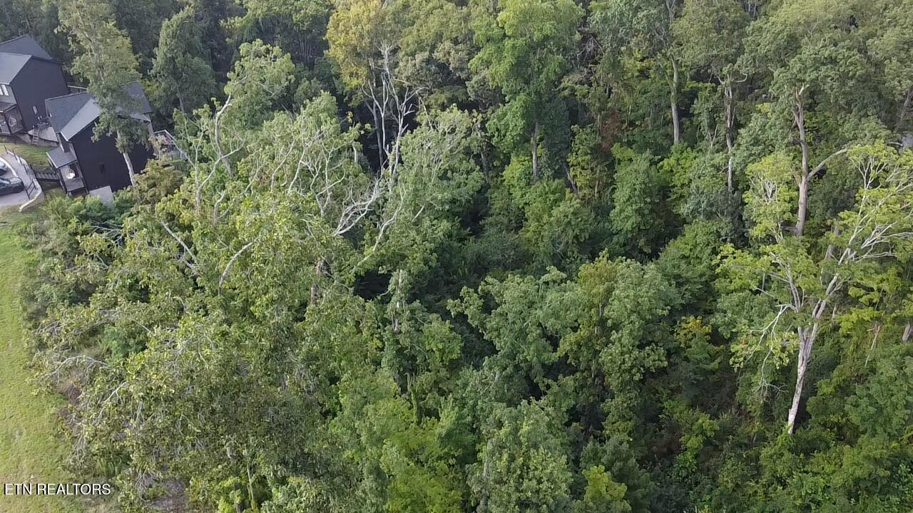 Lot 144 Reedmont Way Sevierville TN 37876