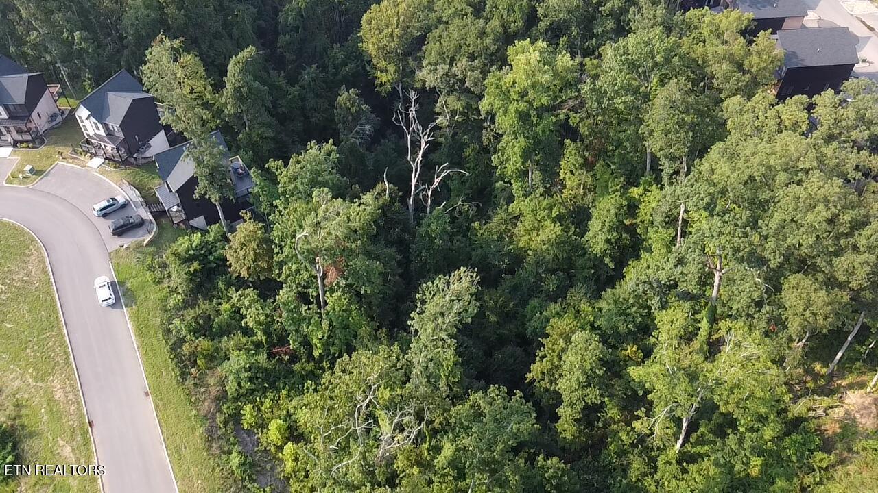 Lot 144 Reedmont Way Sevierville TN 37876