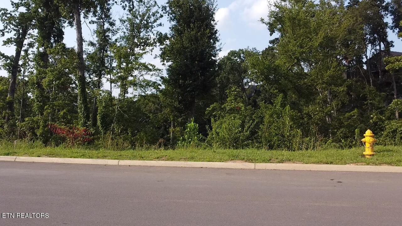 Lot 144 Reedmont Way Sevierville TN 37876