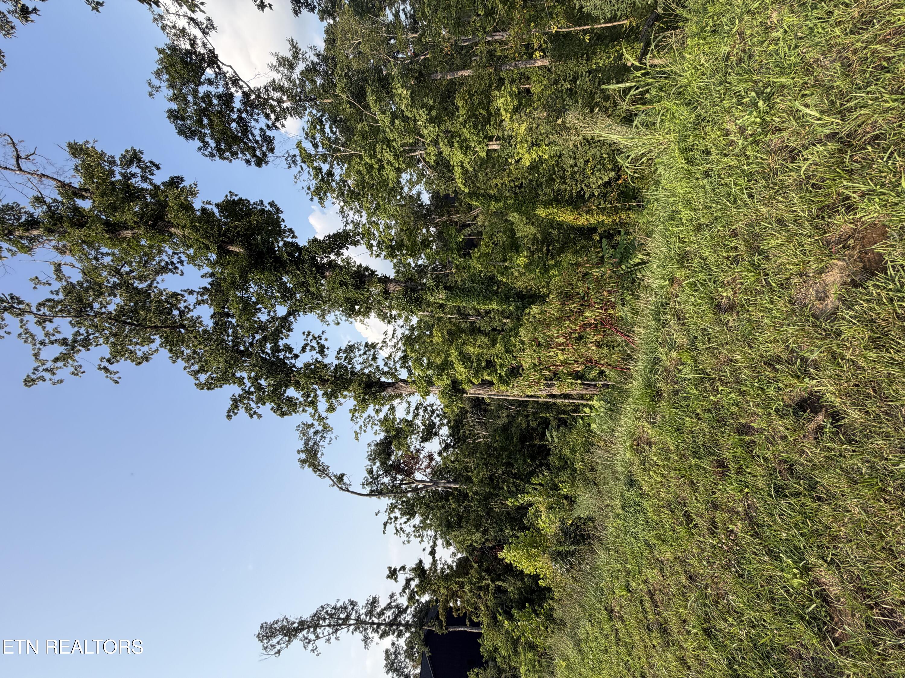 Lot 144 Reedmont Way Sevierville TN 37876