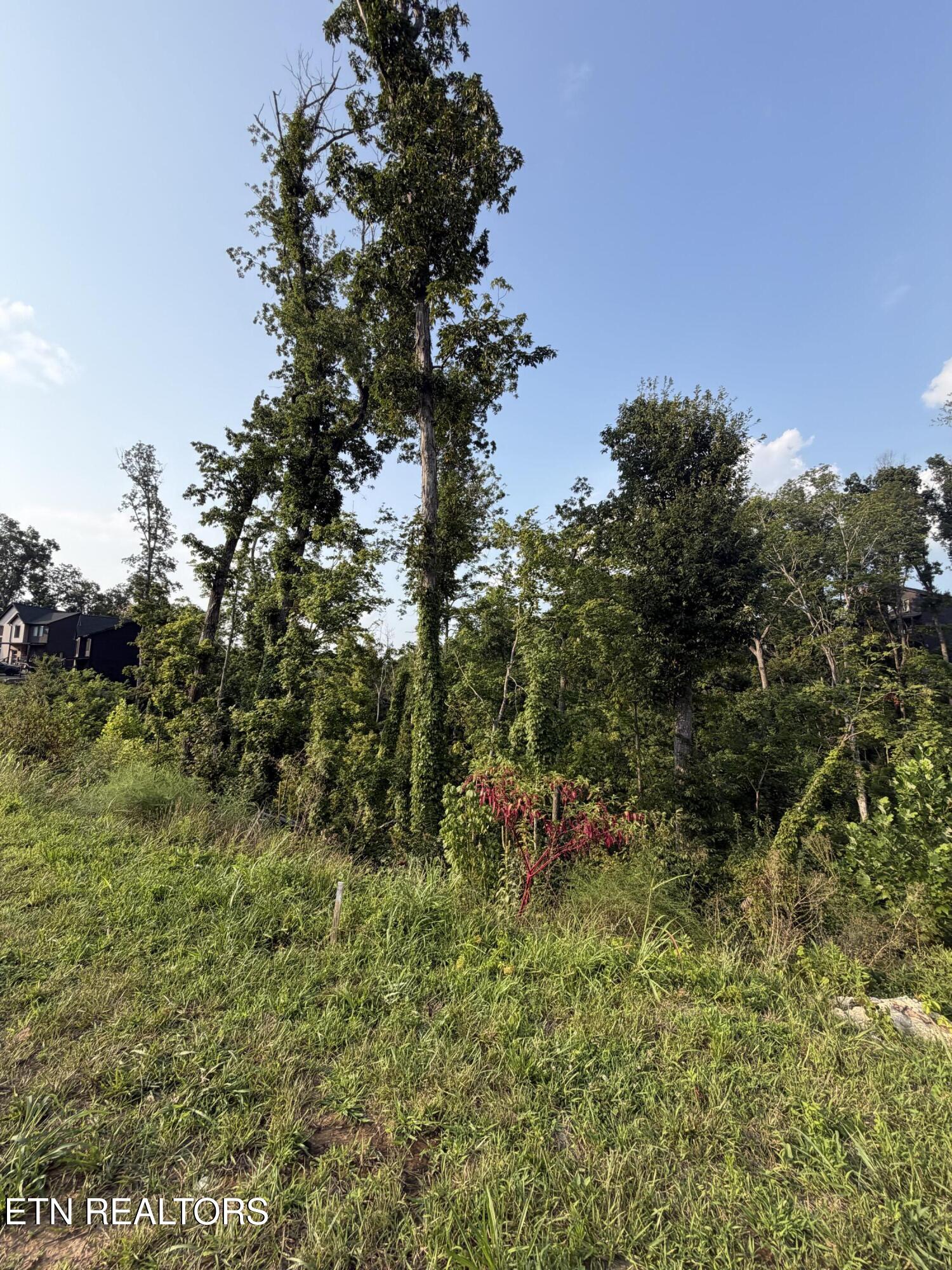 Lot 144 Reedmont Way Sevierville TN 37876