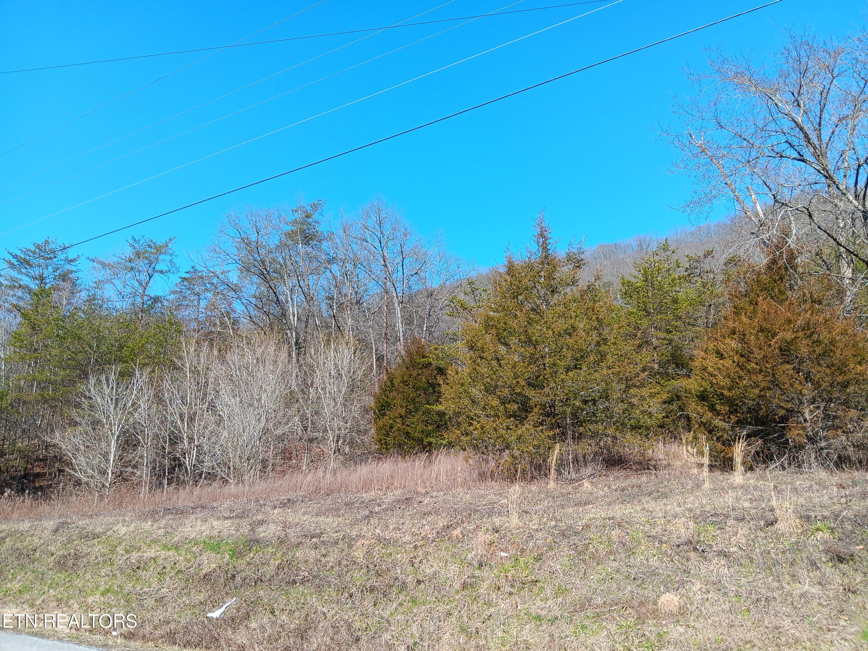 0 Crackers Neck Road Washburn TN 37888